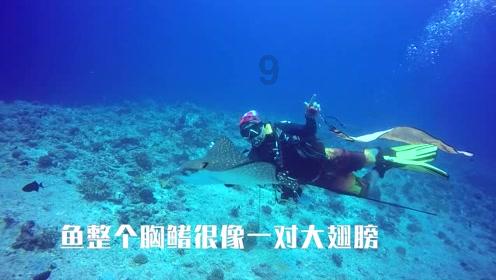 莫兰迪色系