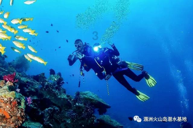 逃离阴森的岛屿