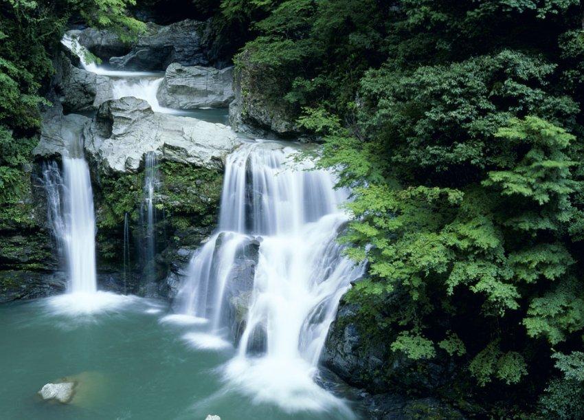 美妙夏季拼图