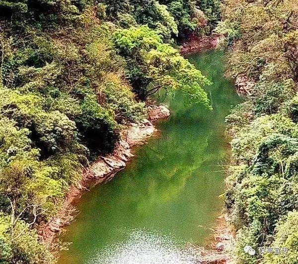 端午节是什么节？游戏画面